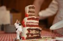 IMG_7423.JPG